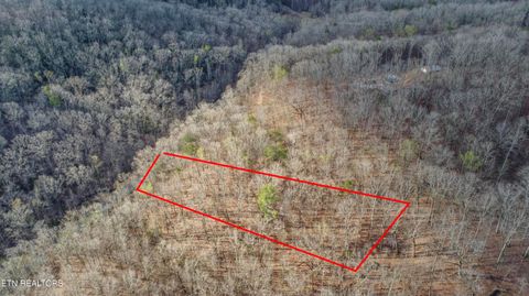 Tiny photo for 435 Hidden Oaks Rd, Rockwood, TN 37854 (MLS # 1333335)