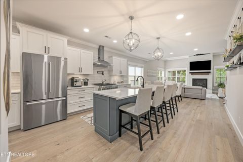 Tiny photo for 511 Brunello Way, Knoxville, TN 37919 (MLS # 1341279)