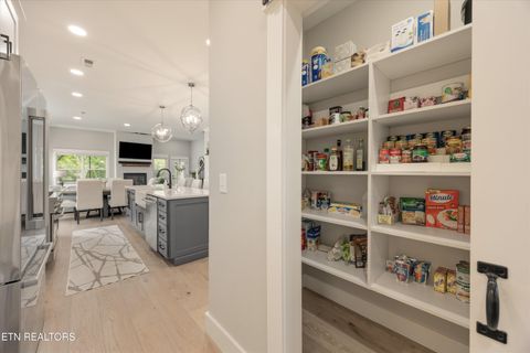 Tiny photo for 511 Brunello Way, Knoxville, TN 37919 (MLS # 1341279)