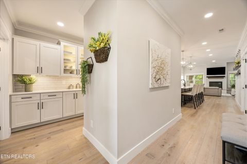 Tiny photo for 511 Brunello Way, Knoxville, TN 37919 (MLS # 1341279)