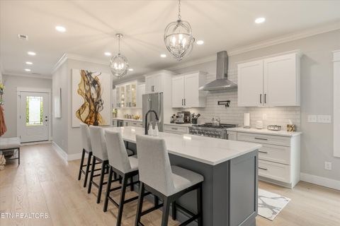 Tiny photo for 511 Brunello Way, Knoxville, TN 37919 (MLS # 1341279)