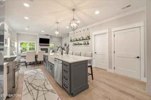 Tiny photo for 511 Brunello Way, Knoxville, TN 37919 (MLS # 1341279)
