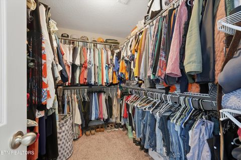 Tiny photo for 8508 Bowsong Lane, Powell, TN 37849 (MLS # 1330232)