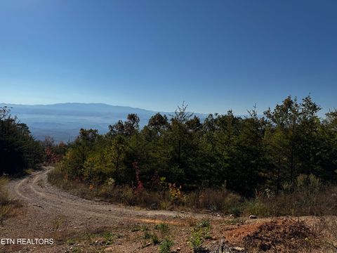 0 Mountain Ashe Way Sevierville TN 37876