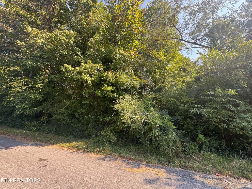 Photo of 164 Jodys Lane, Rockwood, TN 37854 (MLS # 1353870)