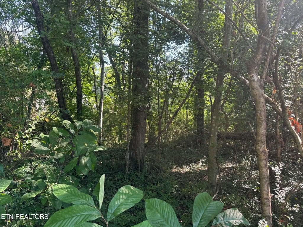 Photo of 164 Jodys Lane, Rockwood, TN 37854 (MLS # 1353870)