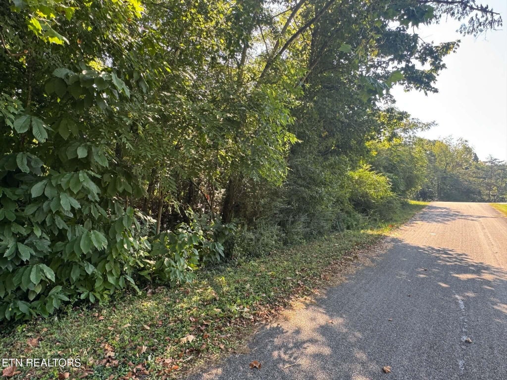 Photo of 164 Jodys Lane, Rockwood, TN 37854 (MLS # 1353870)