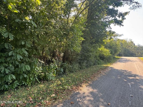 Photo of 164 Jodys Lane, Rockwood, TN 37854 (MLS # 1353870)
