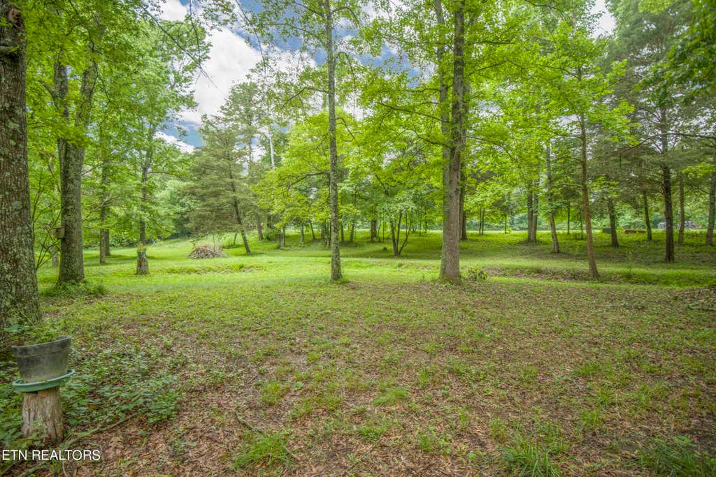 Photo of 7000 State Highway 304, Ten Mile, TN 37880 (MLS # 1250175)