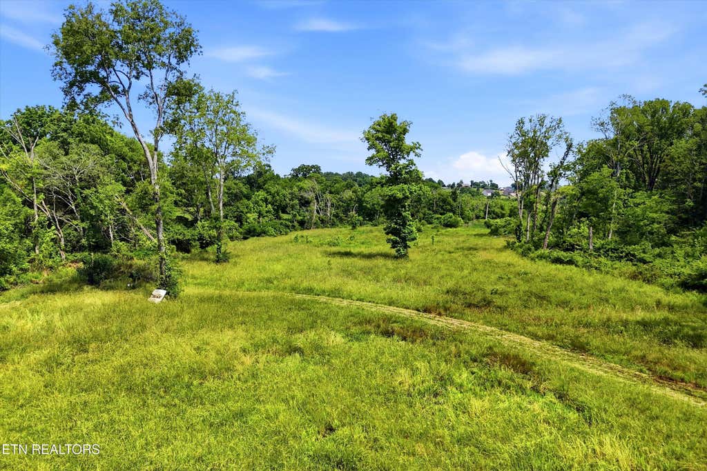 Photo of Hiwassee Rd, Madisonville, TN 37354 (MLS # 1342275)