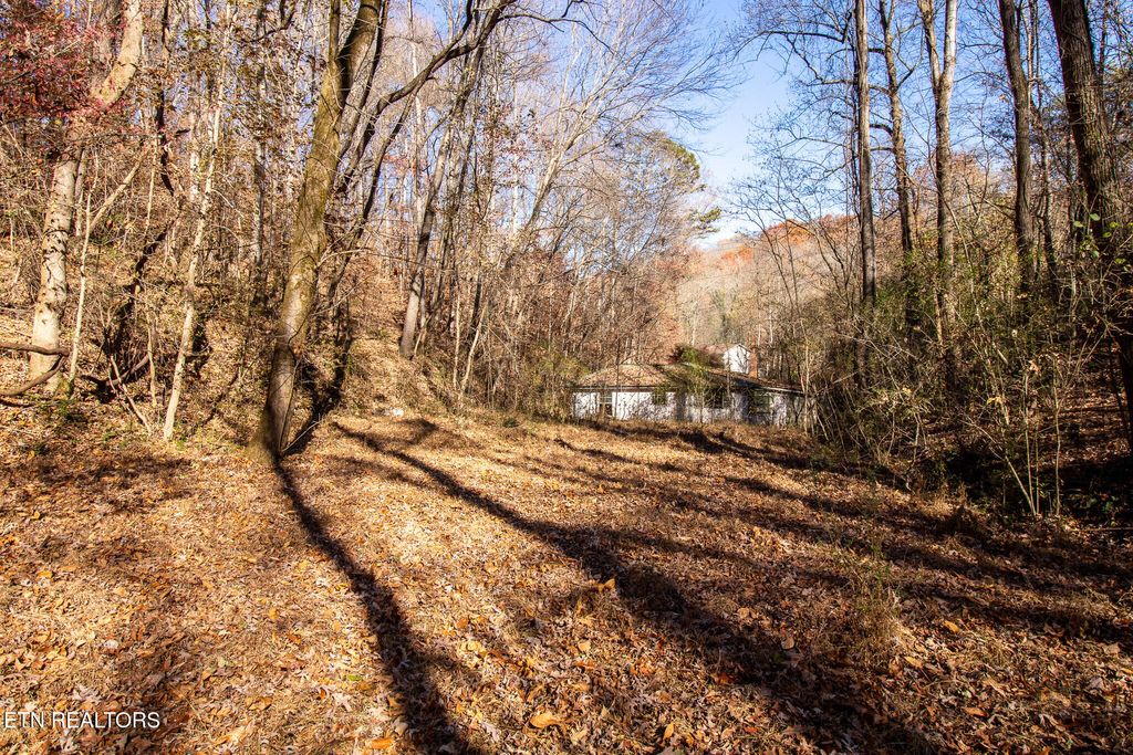 Photo of 2020 Ruritan Rd, Harriman, TN 37748 (MLS # 1322456)