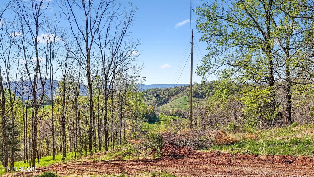 Photo of 0 Bailey Cemetery Rd, Tazewell, TN 37879 (MLS # 1311109)