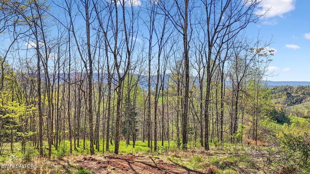 Photo of 0 Bailey Cemetery Rd, Tazewell, TN 37879 (MLS # 1311109)