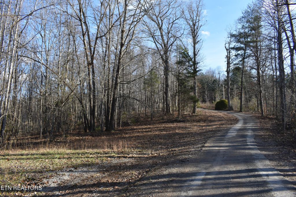 Photo of 54 Bark Lane, Speedwell, TN 37870 (MLS # 1324597)
