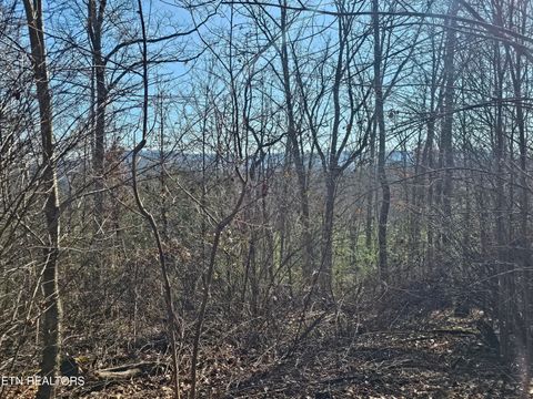 Tiny photo for Genesis Rd, Lancing, TN 37770 (MLS # 1324838)