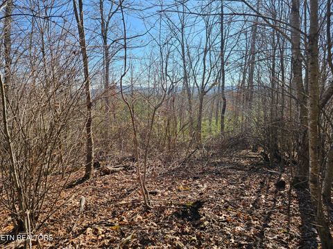 Tiny photo for Genesis Rd, Lancing, TN 37770 (MLS # 1324838)