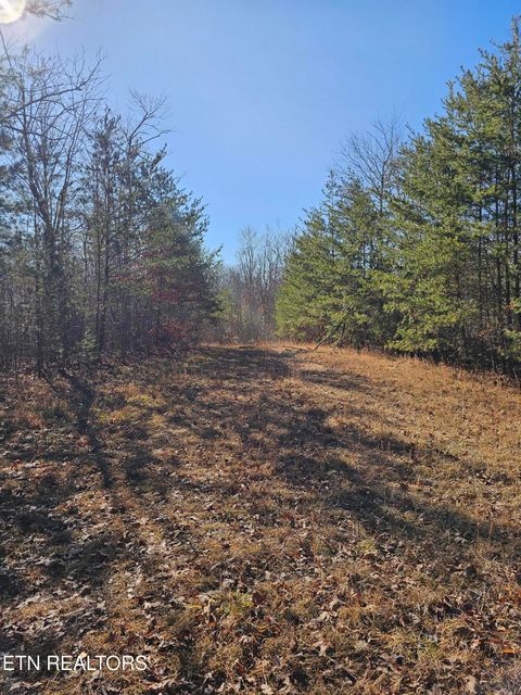 Tiny photo for Genesis Rd, Lancing, TN 37770 (MLS # 1324838)