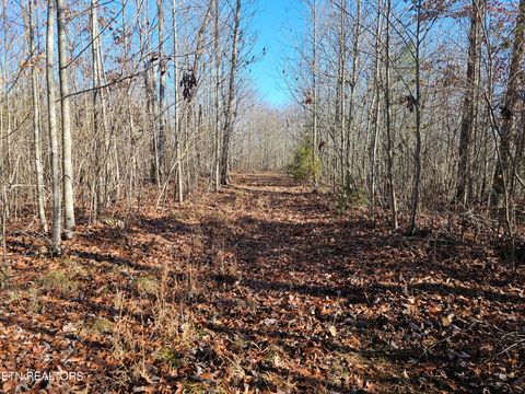 Tiny photo for Genesis Rd, Lancing, TN 37770 (MLS # 1324838)