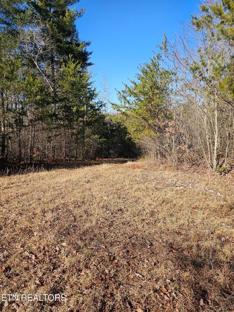 Tiny photo for Genesis Rd, Lancing, TN 37770 (MLS # 1324838)
