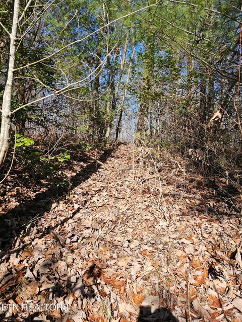 Tiny photo for Genesis Rd, Lancing, TN 37770 (MLS # 1324838)