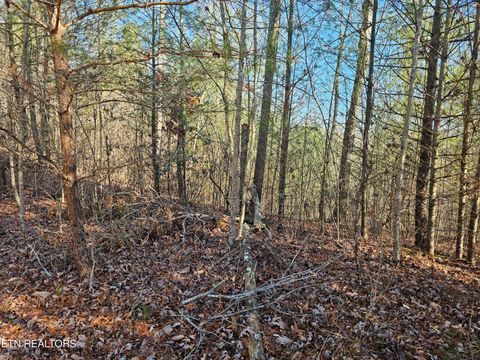 Tiny photo for Genesis Rd, Lancing, TN 37770 (MLS # 1324838)