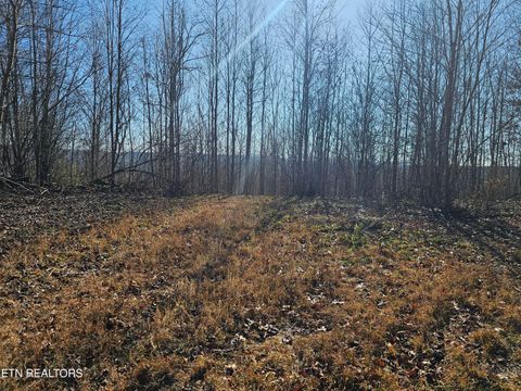 Tiny photo for Genesis Rd, Lancing, TN 37770 (MLS # 1324838)