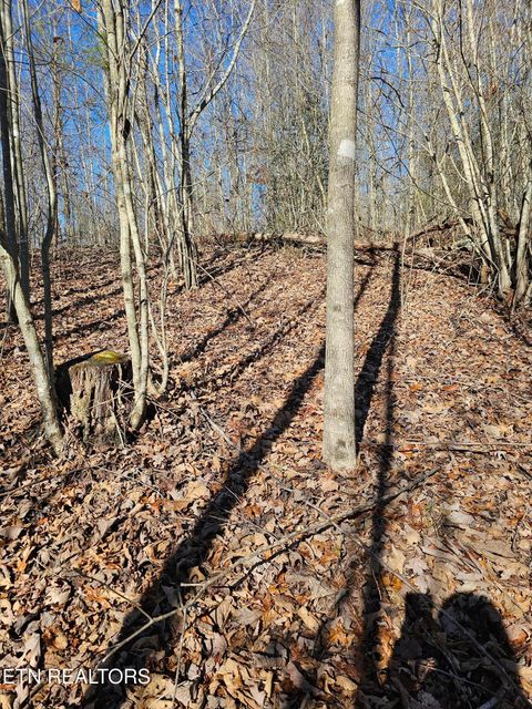 Tiny photo for Genesis Rd, Lancing, TN 37770 (MLS # 1324838)