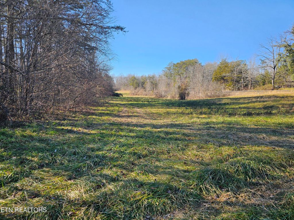 Photo of Genesis Rd, Lancing, TN 37770 (MLS # 1324838)