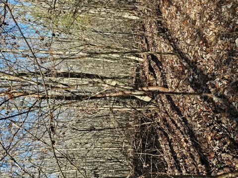 Tiny photo for Genesis Rd, Lancing, TN 37770 (MLS # 1324838)