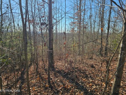 Tiny photo for Genesis Rd, Lancing, TN 37770 (MLS # 1324838)