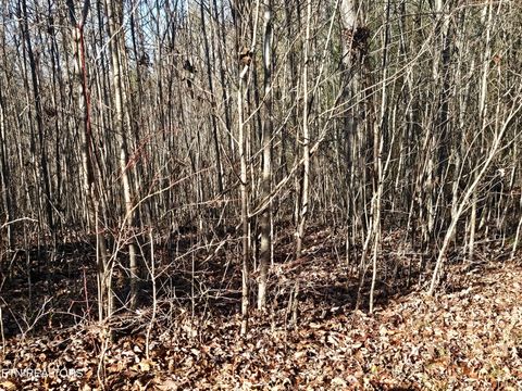 Tiny photo for Genesis Rd, Lancing, TN 37770 (MLS # 1324838)