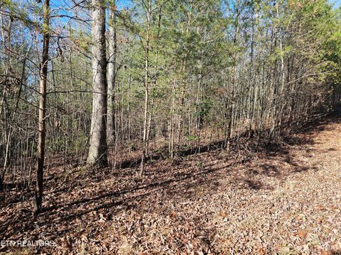 Tiny photo for Genesis Rd, Lancing, TN 37770 (MLS # 1324838)