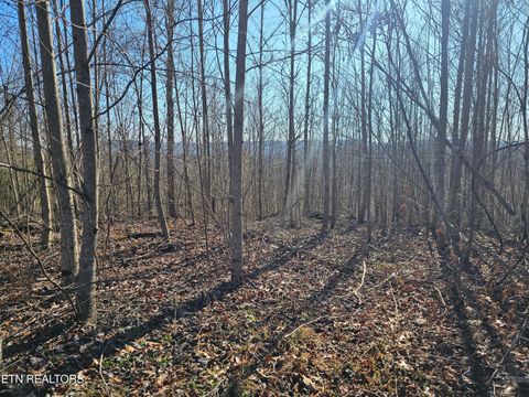 Tiny photo for Genesis Rd, Lancing, TN 37770 (MLS # 1324838)
