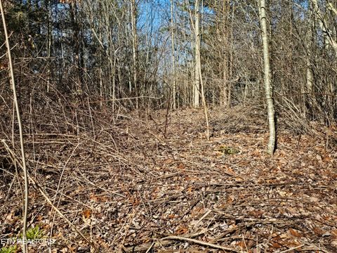 Tiny photo for Genesis Rd, Lancing, TN 37770 (MLS # 1324838)