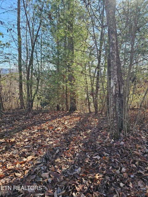 Tiny photo for Genesis Rd, Lancing, TN 37770 (MLS # 1324838)