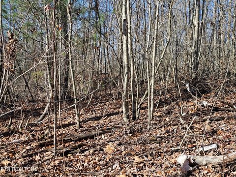 Tiny photo for Genesis Rd, Lancing, TN 37770 (MLS # 1324838)