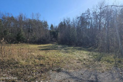 Tiny photo for Genesis Rd, Lancing, TN 37770 (MLS # 1324838)