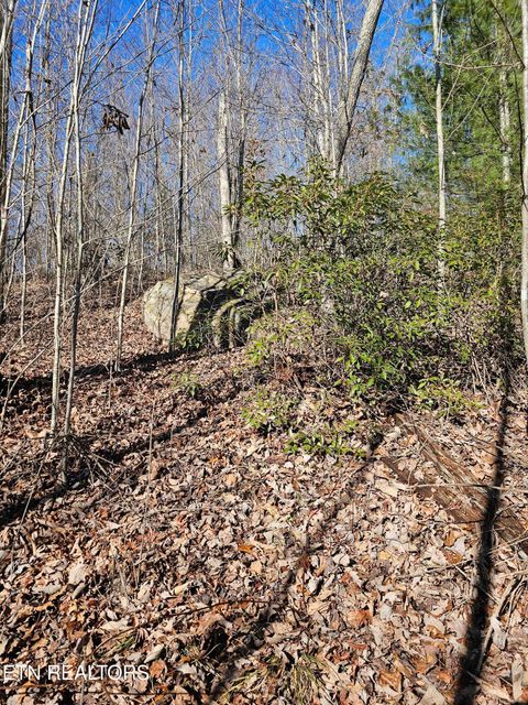 Tiny photo for Genesis Rd, Lancing, TN 37770 (MLS # 1324838)