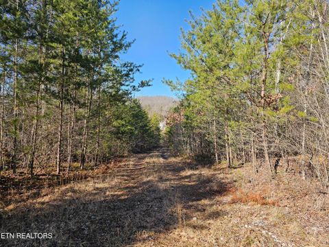 Tiny photo for Genesis Rd, Lancing, TN 37770 (MLS # 1324838)