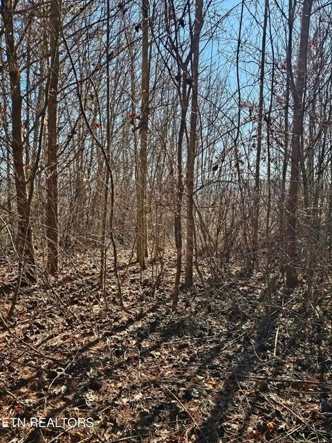 Tiny photo for Genesis Rd, Lancing, TN 37770 (MLS # 1324838)
