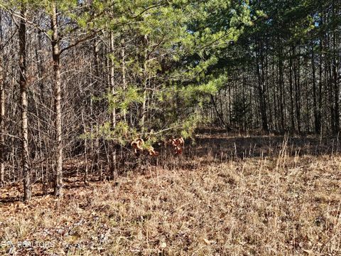 Tiny photo for Genesis Rd, Lancing, TN 37770 (MLS # 1324838)