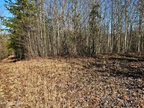 Tiny photo for Genesis Rd, Lancing, TN 37770 (MLS # 1324838)