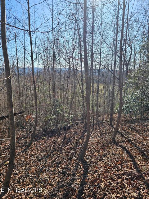 Tiny photo for Genesis Rd, Lancing, TN 37770 (MLS # 1324838)