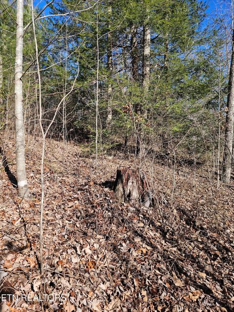 Tiny photo for Genesis Rd, Lancing, TN 37770 (MLS # 1324838)