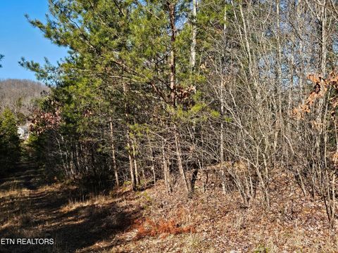 Tiny photo for Genesis Rd, Lancing, TN 37770 (MLS # 1324838)