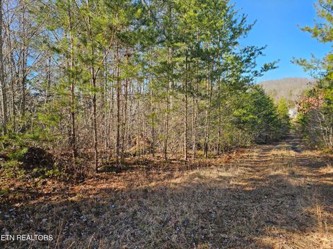 Tiny photo for Genesis Rd, Lancing, TN 37770 (MLS # 1324838)