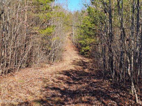 Tiny photo for Genesis Rd, Lancing, TN 37770 (MLS # 1324838)