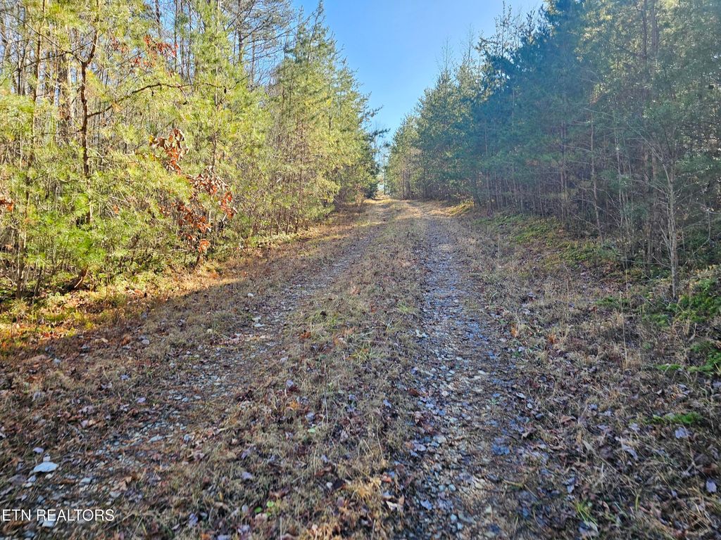 Photo of Genesis Rd, Lancing, TN 37770 (MLS # 1324838)