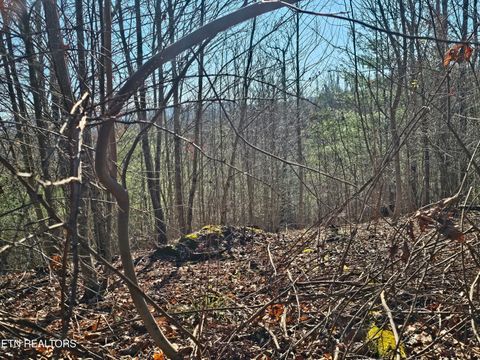 Tiny photo for Genesis Rd, Lancing, TN 37770 (MLS # 1324838)