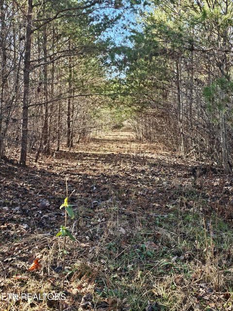 Tiny photo for Genesis Rd, Lancing, TN 37770 (MLS # 1324838)
